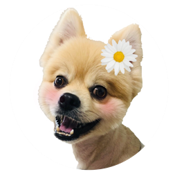 ぽんちゃん
